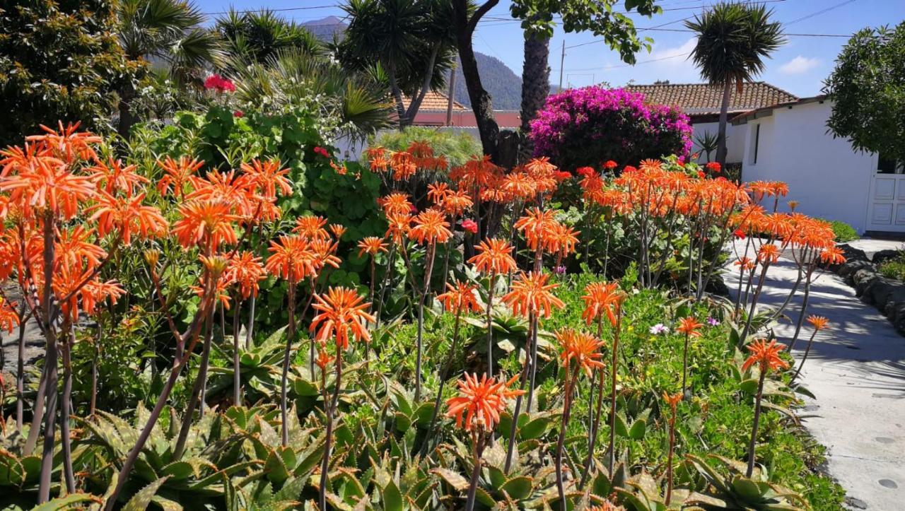 Finca Primavera El Paso Kültér fotó