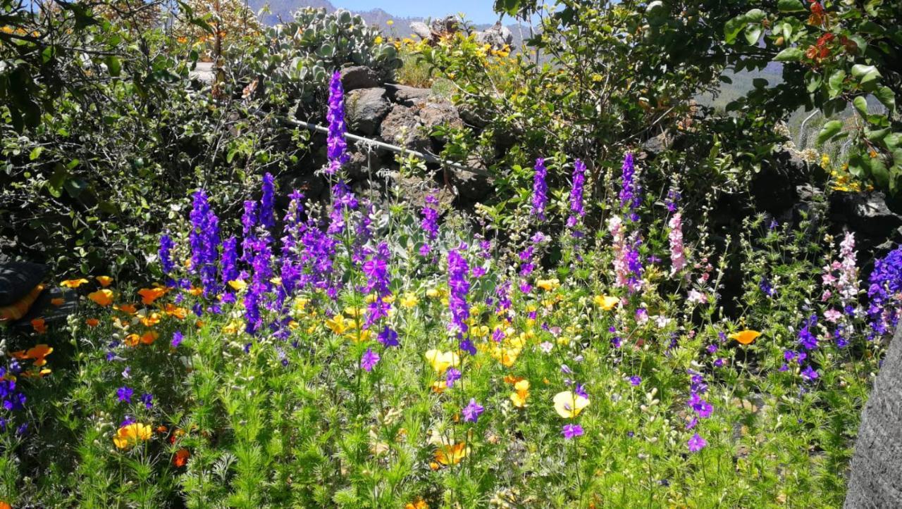 Finca Primavera El Paso Kültér fotó